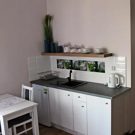 Apartamenty W Kamienicy Poddebice Eksteriør bilde