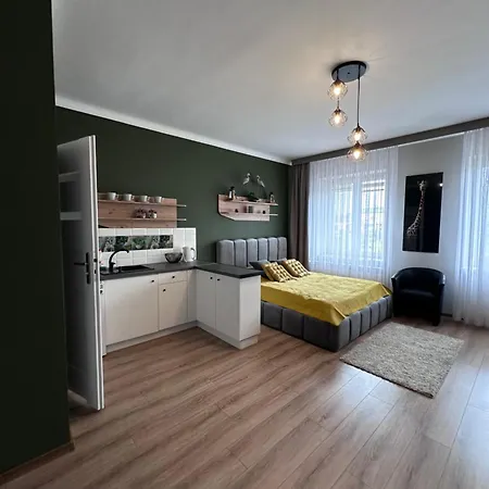 Apartamenty W Kamienicy Poddebice Eksteriør bilde